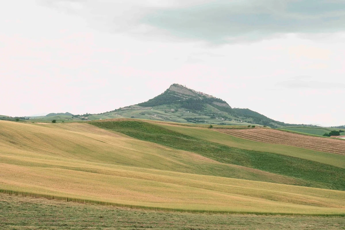 distesa di piantagione di grano all'orizzonte il paese irpino Cairano