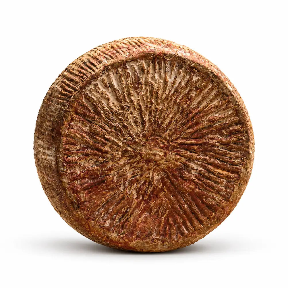 Carmasciano formaggio ovino stagionato
